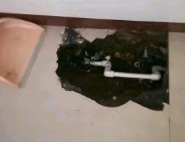 扎囊卫生间测漏水多少钱